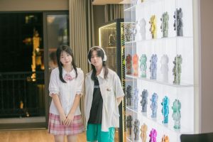Vitrina iluminada con figuras de coleccionista organizadas en estantes de madera